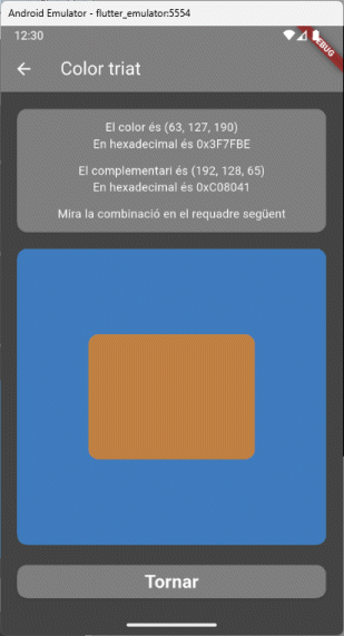 Pantalla de resultats