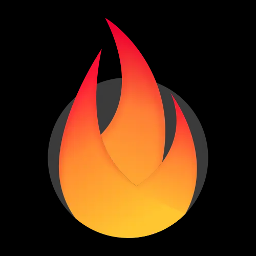 Logo Flame