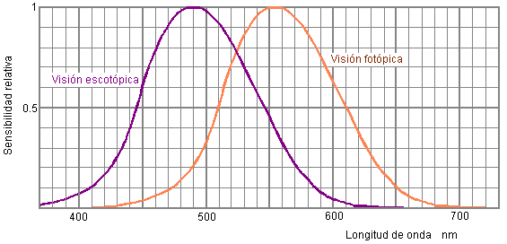Curvas de sensibilidad del ojo.
