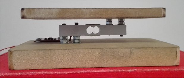 C&egrave;l&middot;lula de c&agrave;rrega