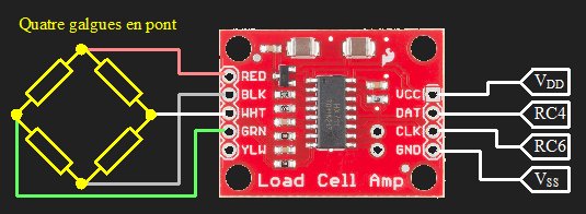 C&egrave;l&middot;lula de c&agrave;rrega